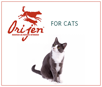 Orijen for Cats